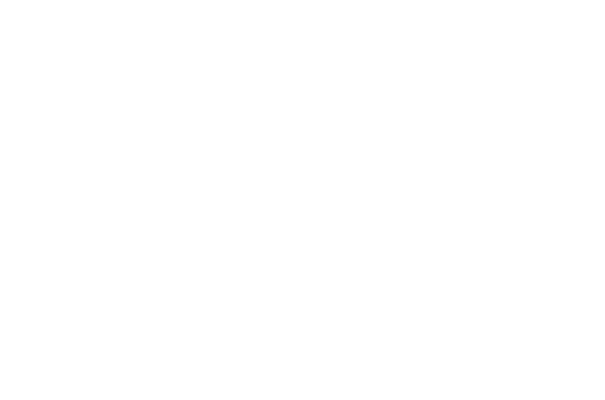 Zip_Wordmark_White_2000px